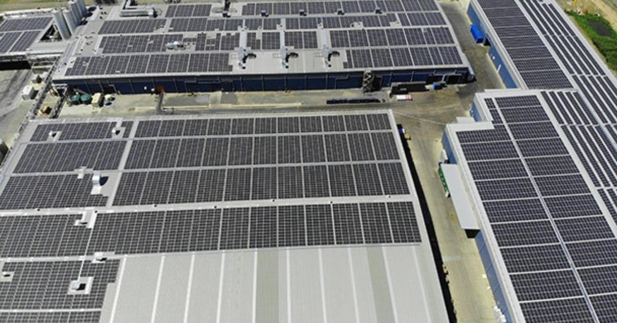 Read more about the article Payment plan powers Freedom Foods' ambitious solar project